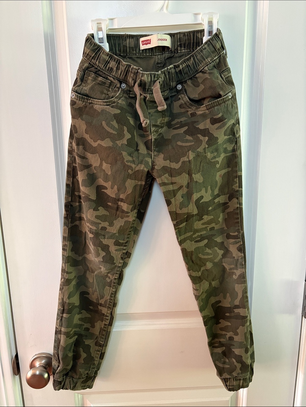 Levi's Camo Jogger Sweatpants in Green/Brown
